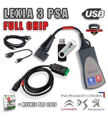 INTERFACE LEXIA XS (Full chip)