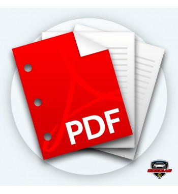 PDF reset ECU antidémarrage