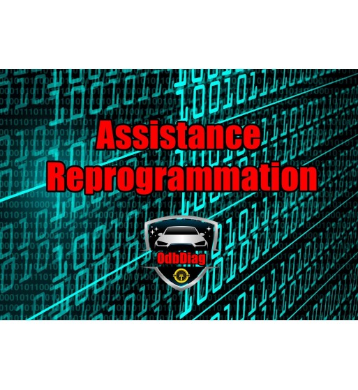 ASSISTANCE REPROGRAMMATION